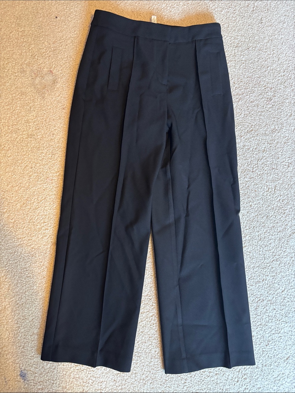 Rachel Zoe women’s  Black Pleated Dress Pants